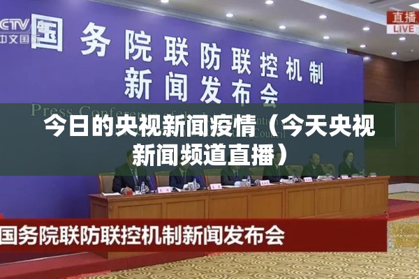 【召开疫情/疫情防控会议记录内容】