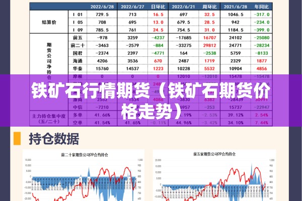 铁矿石行情期货（铁矿石期货价格走势）