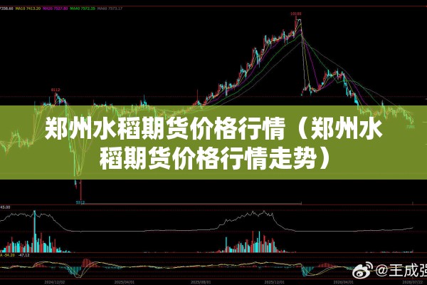 郑州水稻期货价格行情（郑州水稻期货价格行情走势）