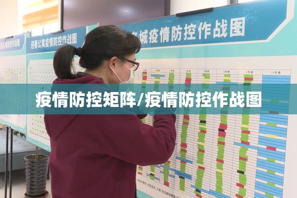 疫情防控矩阵/疫情防控作战图