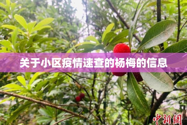 车城花园疫情（车城花园属于哪个街道办）