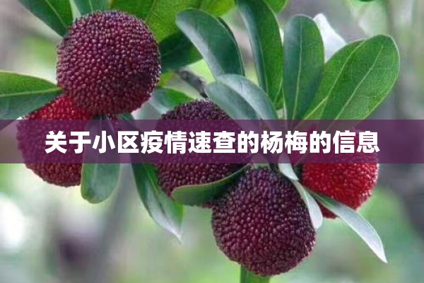 关于小区疫情速查的杨梅的信息