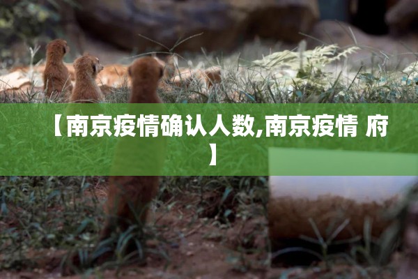 【南京疫情确认人数,南京疫情 府】