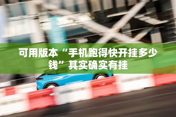 可用版本“手机跑得快开挂多少钱”其实确实有挂
