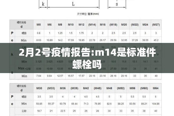 2月2号疫情报告:m14是标准件螺栓吗