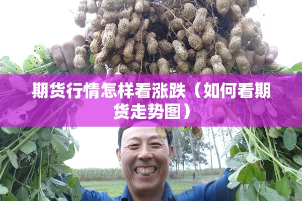 巴哈马疫情（巴哈马新闻）