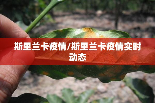 斯里兰卡疫情/斯里兰卡疫情实时动态 斯里兰卡疫情/斯里兰卡疫情实时动态