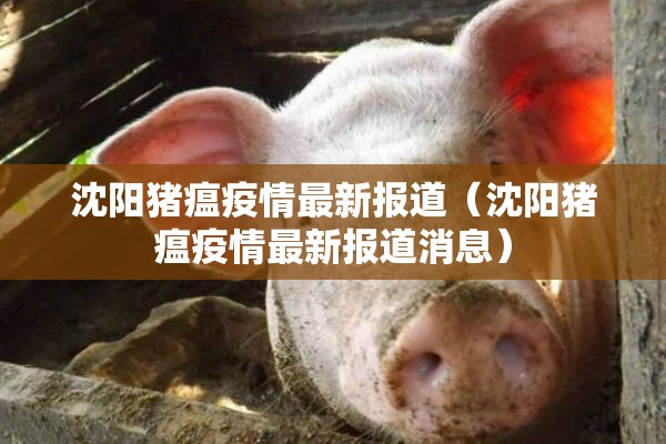 【国际铜价期货行情预测/国际铜价期货行情预测最新】