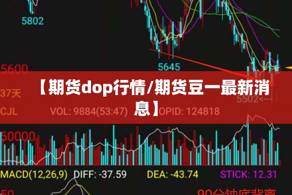 疫情下莆田鞋业遭重创:莆田新冠鞋厂