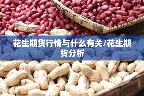 湖北应城最新疫情消息/湖北应城读音