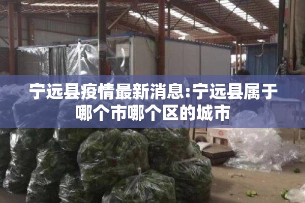 宁远县疫情最新消息:宁远县属于哪个市哪个区的城市