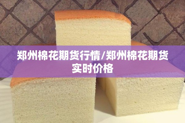 【直播疫情发布会上海,今天下午上海疫情发布会直播】