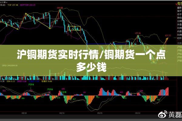 国外疫情防控/国外的疫情