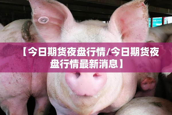 可用版本“微乐四川麻将怎么开免费的挂”开挂(透视)辅助教程