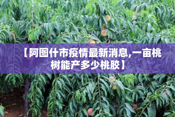哈尔滨市疫情最新（哈尔滨市疫情最新消息）