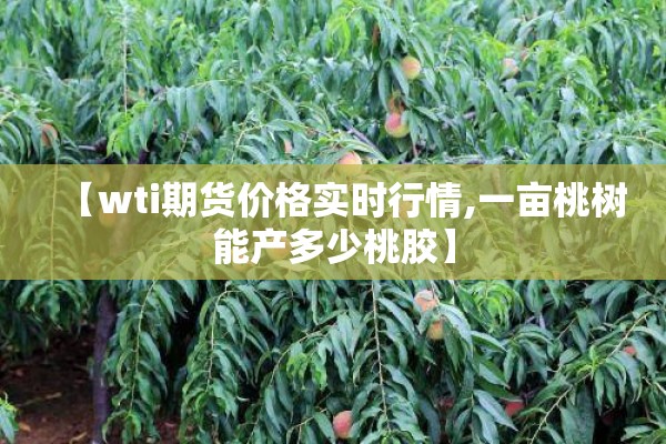 【外汇期货实时行情/外汇期货交易时间表】