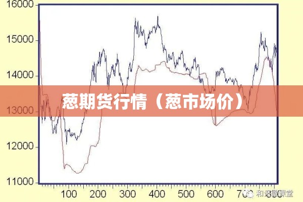 葱期货行情（葱市场价）
