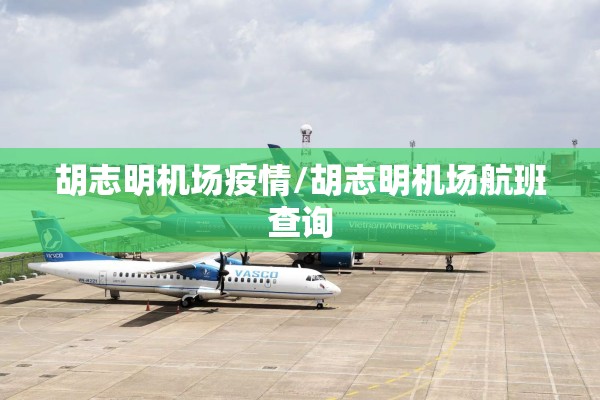 胡志明机场疫情/胡志明机场航班查询
