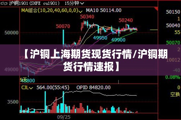 疫情实时数据厦门更新:厦门疫情动态记录