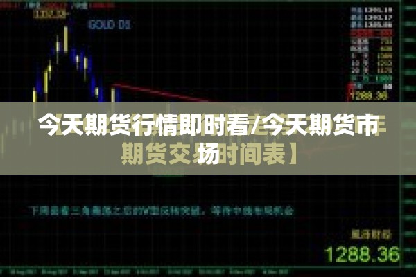 今天期货行情即时看/今天期货市场