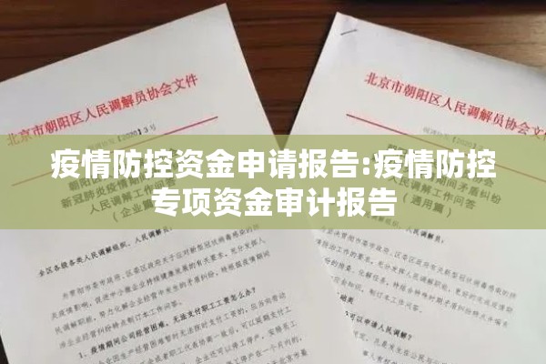 疫情防控资金申请报告:疫情防控专项资金审计报告