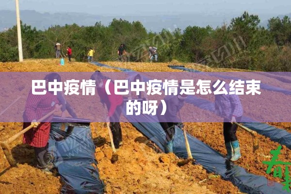 巴中疫情（巴中疫情是怎么结束的呀）