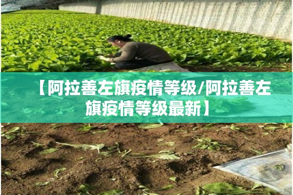 【纽约天然气期货指数行情,纽约天然气价格】