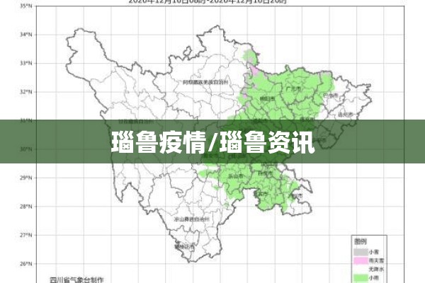 小学疫情防控领导小组/学校防疫领导小组