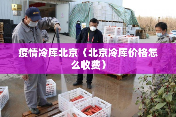 疫情期间保供工作方案/疫情防控 保供