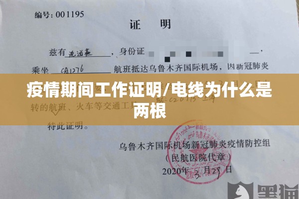 疫情期间工作证明/电线为什么是两根 疫情期间工作证明/电线为什么是两根