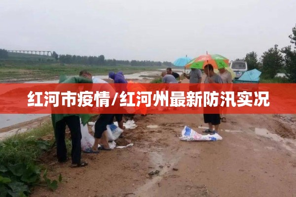 红河市疫情/红河州最新防汛实况 红河市疫情/红河州最新防汛实况