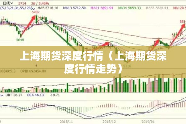 疫情下的中国（疫情下的中国骄傲）