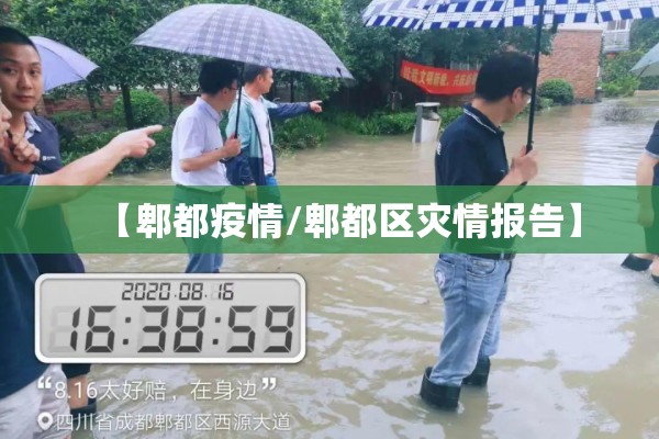 国内疫情通报/国内疫情通报情况