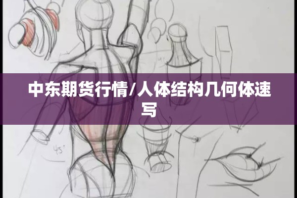 中东期货行情/人体结构几何体速写