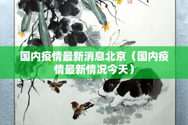 国内疫情最新消息北京（国内疫情最新情况今天）
