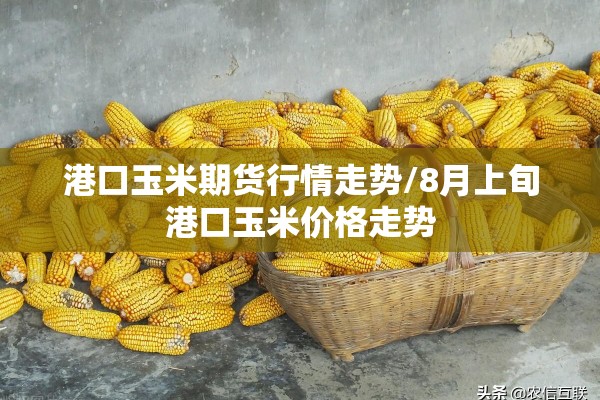 知春里小区疫情（知春里小区是学区房吗）