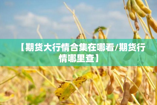 【期货大行情合集在哪看/期货行情哪里查】