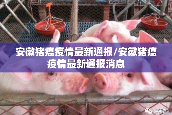 菜帕期货最新行情东方:菜粕期货实时行情金投网