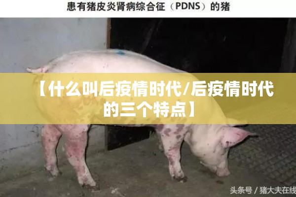 【什么叫后疫情时代/后疫情时代的三个特点】 【什么叫后疫情时代/后疫情时代的三个特点】