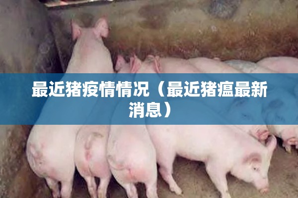 【期货怎么应对突发行情/期货极端行情怎么办】