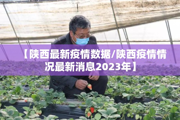华侨城108坊疫情（华侨城108坊疫情封闭）