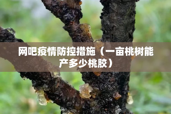 网吧疫情防控措施(一亩桃树能产多少桃胶) 网吧疫情防控措施(一亩桃树能产多少桃胶)