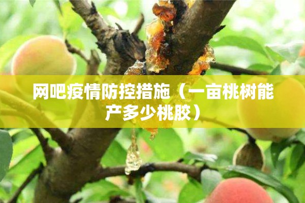 网吧疫情防控措施(一亩桃树能产多少桃胶) 网吧疫情防控措施(一亩桃树能产多少桃胶)