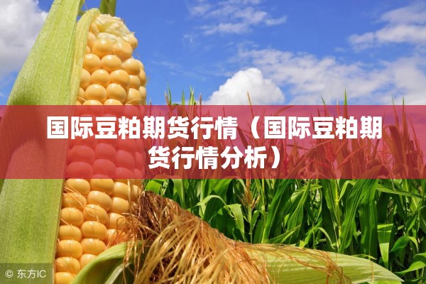 国际豆粕期货行情（国际豆粕期货行情分析）