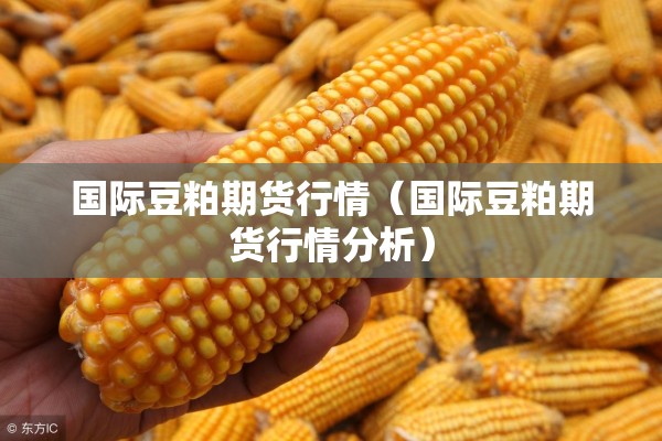 疫情防控情况报告/疫情防控汇报