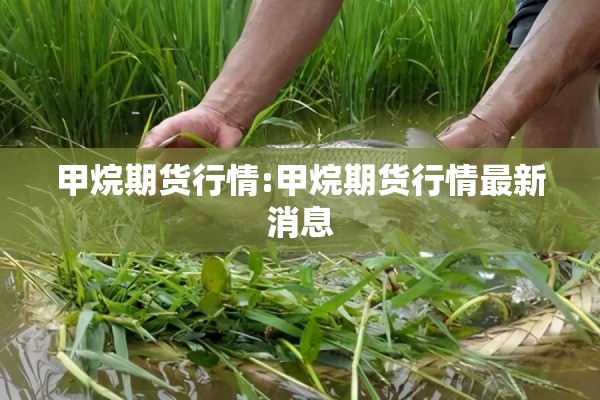 甲烷期货行情:甲烷期货行情最新消息 甲烷期货行情:甲烷期货行情最新消息