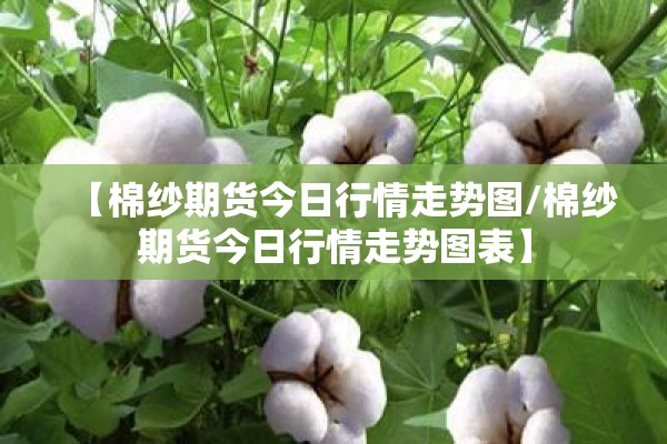 今天全国疫情新增情况（今日全国汛情最新消息）