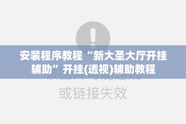 安装程序教程“新大圣大厅开挂辅助”开挂(透视)辅助教程