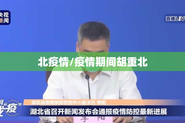 北疫情/疫情期间胡重北