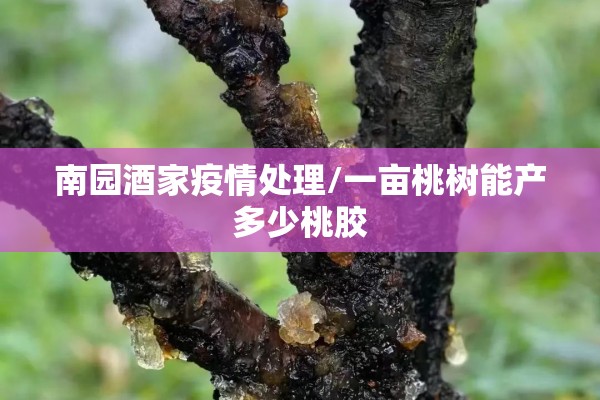 疫情防控工作总结ppt/疫情防控工作总结及下一步工作计划